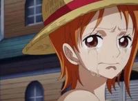 《海贼王》娜美和罗宾为什么不用名声优？