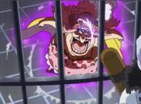 《海贼王》中有哪些身世悲惨的女角色？和穹妹比算不了什么！