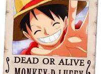 草帽海贼团十人满员