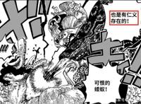 海贼王｜飞六胞到底什么水平？他们为何不如老七武海？