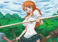 动画《海贼王》中女性人物介绍