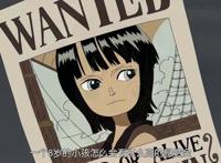 坚毅、知性而优雅的妮可·罗宾，她是海贼世界中希望的光