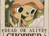 《海贼王》：草帽团对比，乔巴性价比逆天且远超路飞，你怎么看