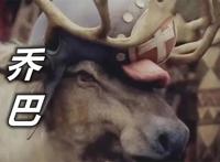 《海贼王》再出真人版，乔巴真变成麋鹿了，这是两年后的翻版吧