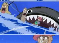 《海贼王》索隆和乔巴才是最有爱的一对，太可爱了