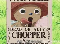 海贼王中最适合乔巴的赏金