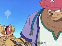 海贼王中最适合乔巴的赏金