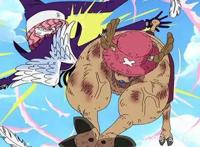 海贼王中最适合乔巴的赏金