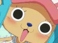 海贼王：乔巴的那些过往秘事