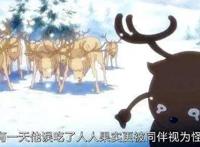 海贼王：乔巴的那些过往秘事