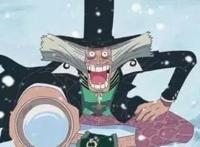 海贼王：乔巴的那些过往秘事