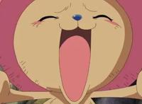 海贼王：乔巴的那些过往秘事