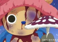 海贼王：乔巴是“最惨”团宠？海迷：50贝利赏金，打着过亿的战斗