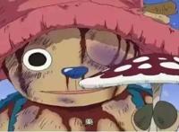 盘点海贼王经典催泪片段，乔巴的身世，看一次哭一次