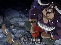 海贼王：乔巴成长上限很高，可觉醒恶魔果实，化身草帽团最强肉盾