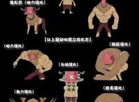 海贼王第一萌宠——托尼托尼·乔巴