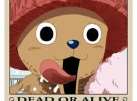 海贼王第一萌宠——托尼托尼·乔巴