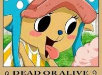 海贼王第一萌宠——托尼托尼·乔巴