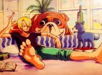 海贼王：黑足山治，暴力好色却又绅士