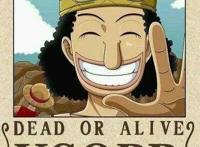 海贼王里乌索普的实力真的很渣吗？