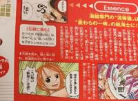 海贼王：娜美生命卡公开，外号叫泥棒猫，初稿很强，是个女武士！