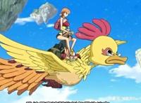 海贼王，娜美最撩人的5个骑姿，最后一个总感觉哪里不太对劲