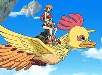 海贼王中娜美“坐”过7人，草帽团仅三人幸免，尾田也没便宜外人