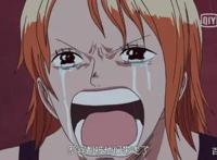 在海贼团中娜美最依赖的人是谁？一个细节就能明白！