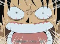 娜美才是草帽海贼团的绝对老大