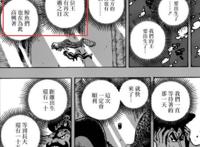 海贼王：天王是娜美吗？