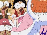 海贼王：娜美在和之国又一次走光，海米们却很郁闷，啥都没看到！