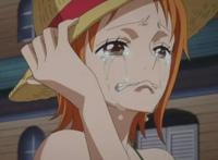 海贼王：五大海贼团的“团花”谁更美？娜美与女帝平分秋色