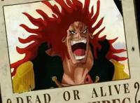 《海贼王》娜美是洛克斯的成员？漫迷：如果是真的，我倒立洗头