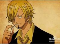 海贼王里，娜美的胸部至今究竟被多少人看过？