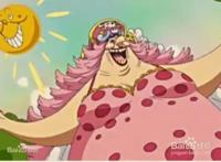 海贼王里，娜美的胸部至今究竟被多少人看过？