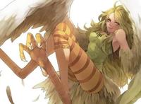 《海贼王》为何海贼王里大多数美女都长着娜美脸