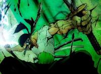 真正的强者索隆：什么也没有发生