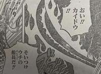 海贼王1010话：索隆终于展现两年后的全部实力，凯多对他评价很高