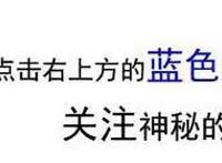 海贼王：索隆的“女人”，原来我们的索大有这么多老婆