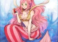 海贼王：最痴迷路飞的4个人，最后一个比女帝更疯狂！