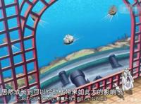 海贼王：海军高层评价15亿路飞，卡普说出路飞致命缺点