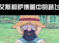海贼王：这是众人眼中的路飞，你眼中的路飞是什么形象？