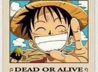 路飞，海贼王成长史