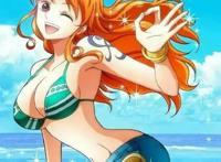 《海贼王》草帽海贼团——船员定位