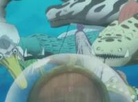 《海贼王》中的未解之谜，对谜底的兴趣不亚于路飞成为海贼王