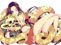 海贼王最新动漫剧情，路飞智商堪忧，网友：这还能当上海贼王