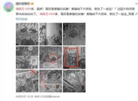 海贼王漫画引争议，索隆挡下双皇合击，果然是尾田亲儿子！