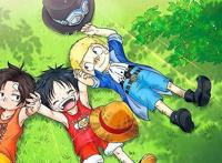 “海贼王”指的是什么？除了路飞的梦想还有这六点