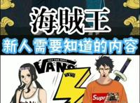 海贼王，新人需要知道的内容