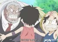 海贼王，新人需要知道的内容